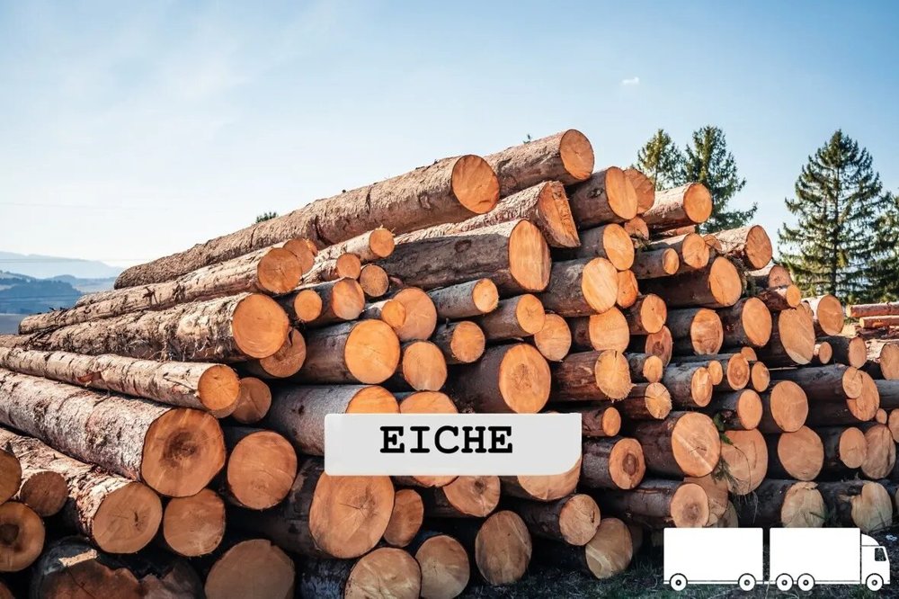 Eichen-Stammholz – LKW-Ladung | 20–40 RM